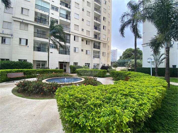 Aluguel Apartamento São Paulo Vila Anastácio REO116449 30