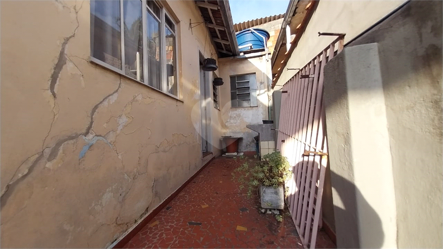 Foto REO116451