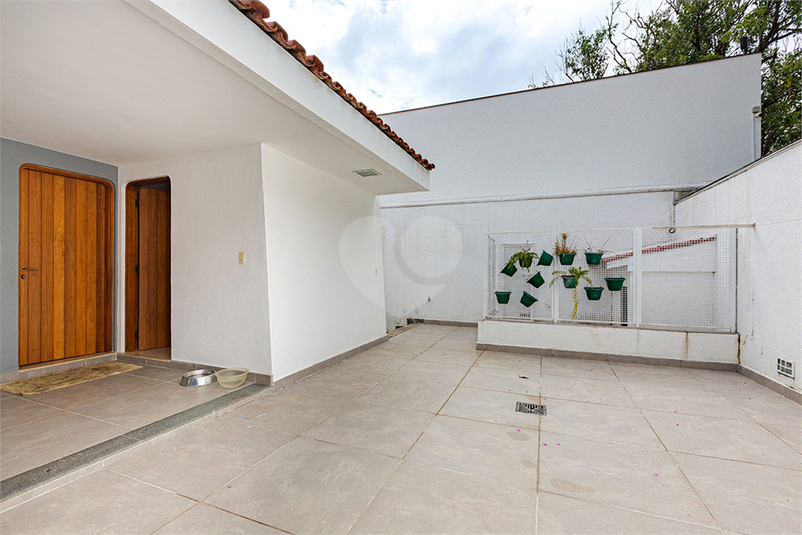 Foto REO1165067