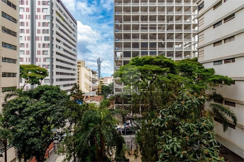 Foto REO1166863