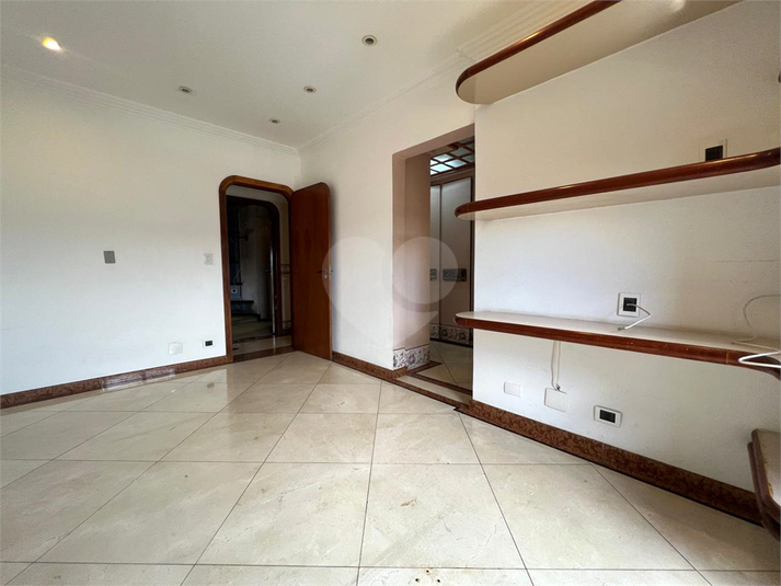 Foto REO1167365