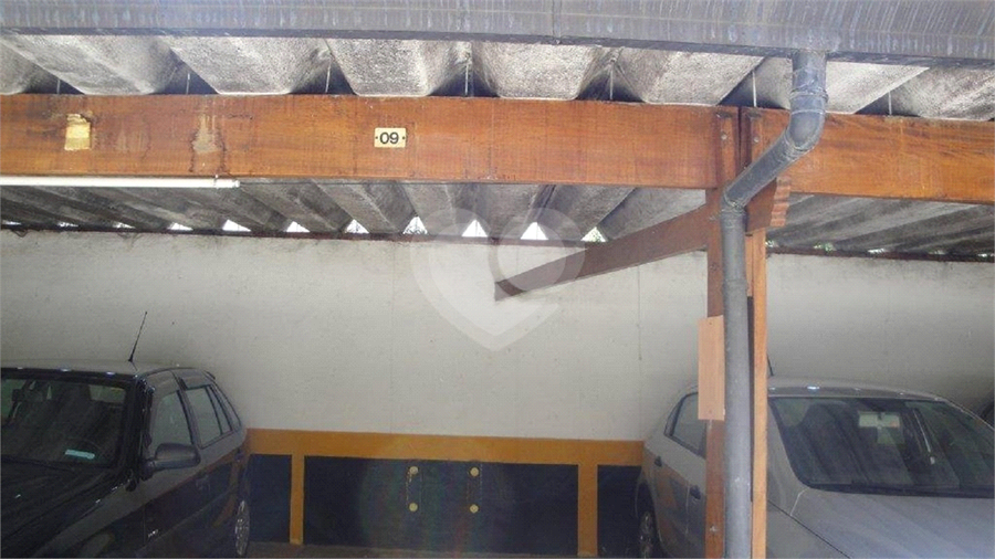 Foto REO1167431