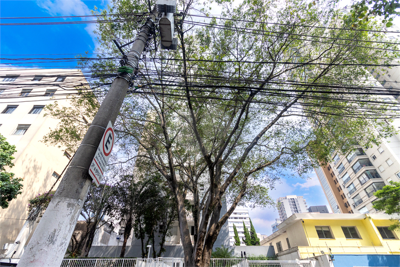 Foto REO11678