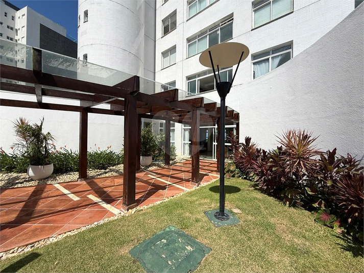 Foto REO1168049