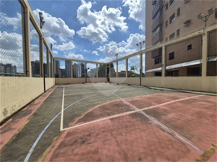 Foto REO1168104