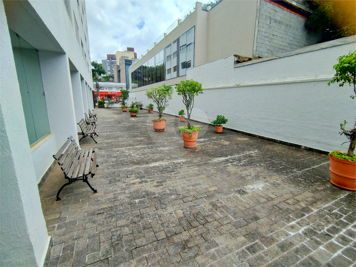 Foto REO1168320