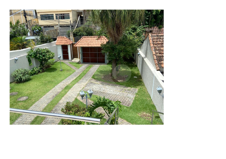 Foto REO1168733