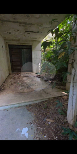 Foto REO1169397