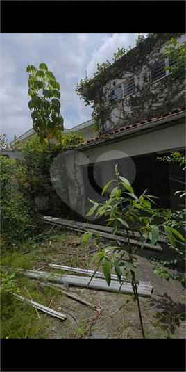 Foto REO1169397