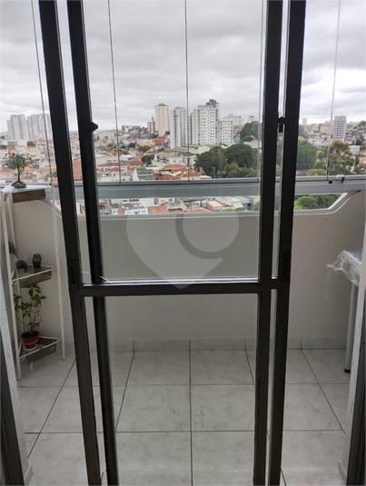 Foto REO1169507
