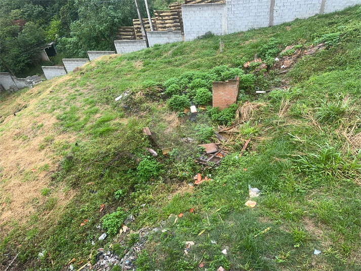 Foto REO1170358