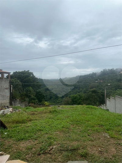 Foto REO1170358