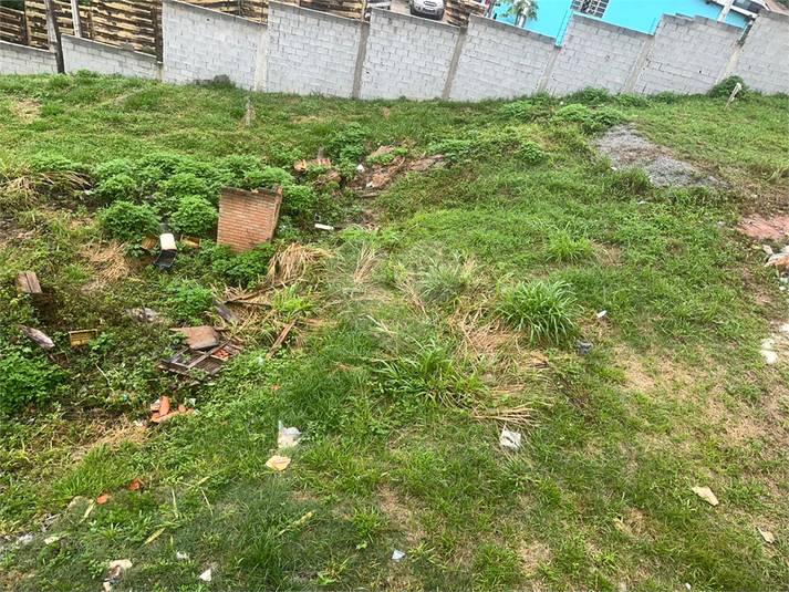 Foto REO1170358