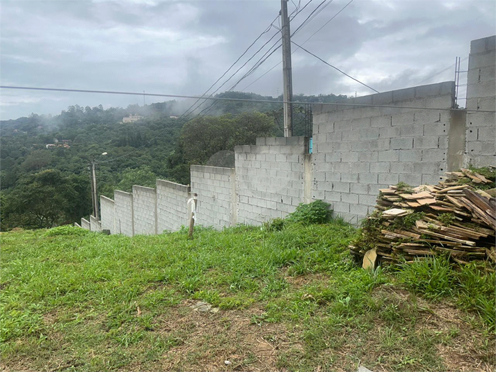 Foto REO1170358