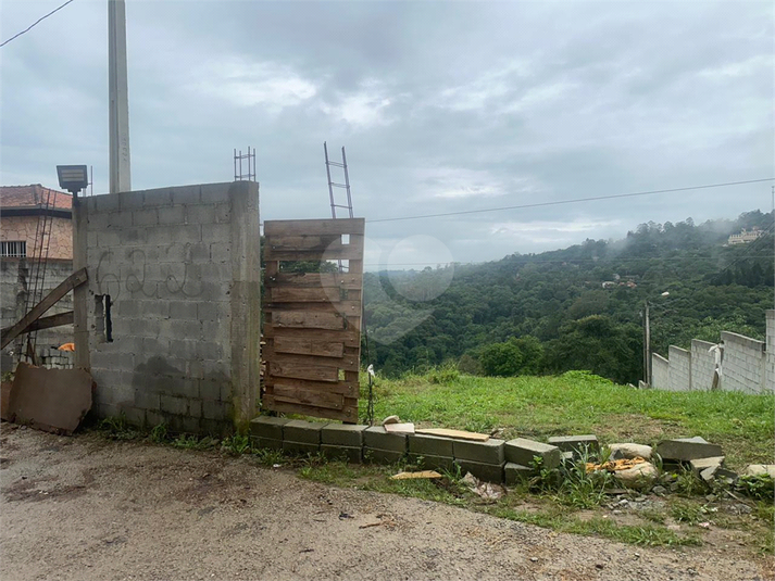Foto REO1170358