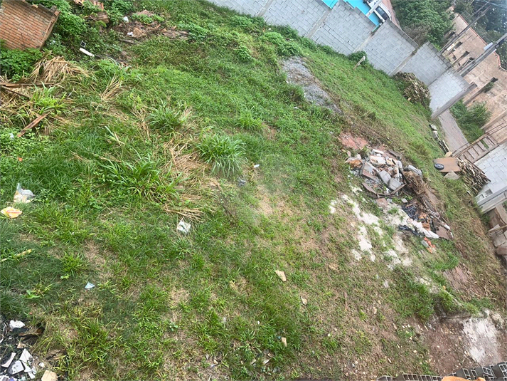 Foto REO1170358