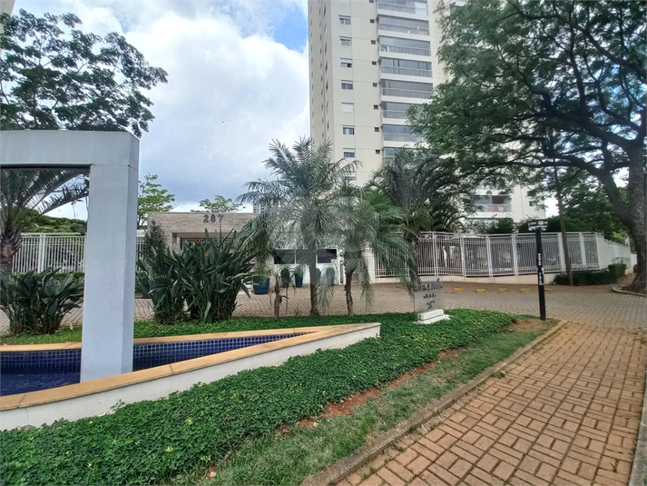 Foto REO1170559