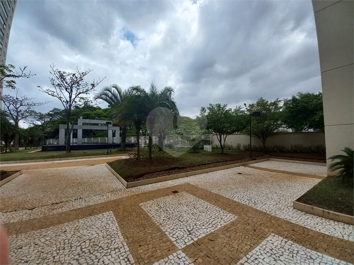 Foto REO1170559