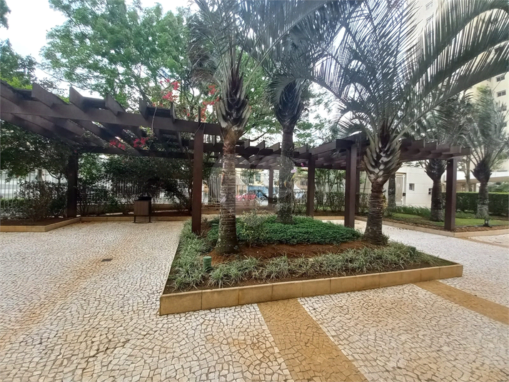 Foto REO1170559