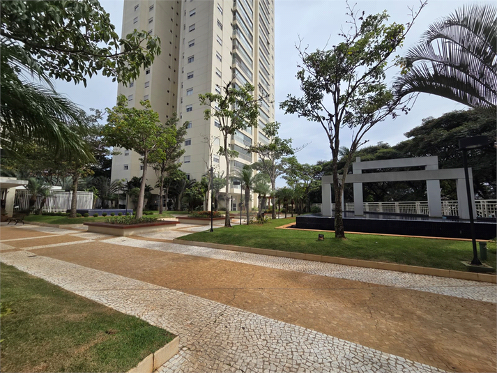 Foto REO1170559