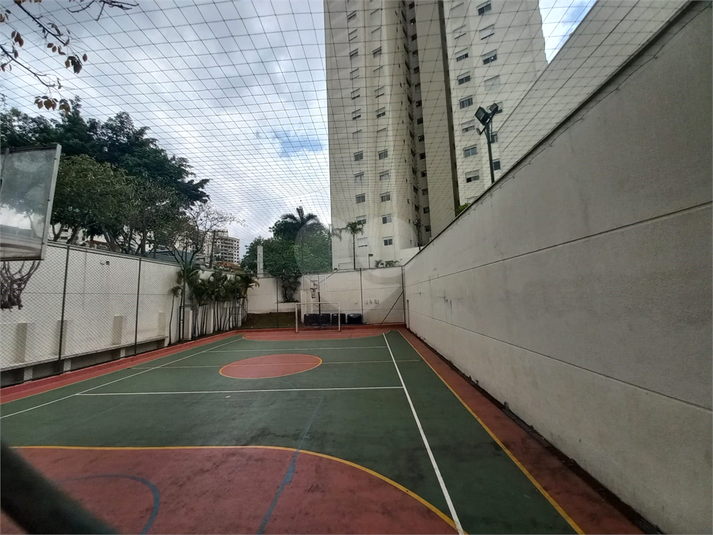 Foto REO1170559