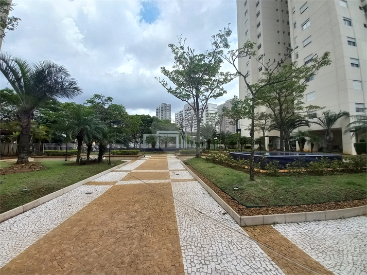 Foto REO1170559