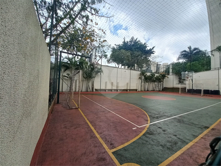 Foto REO1170559
