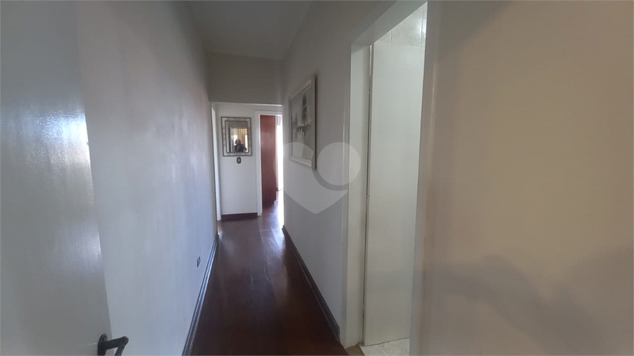 Foto REO1171532