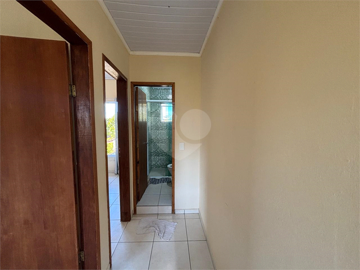 Foto REO1171586