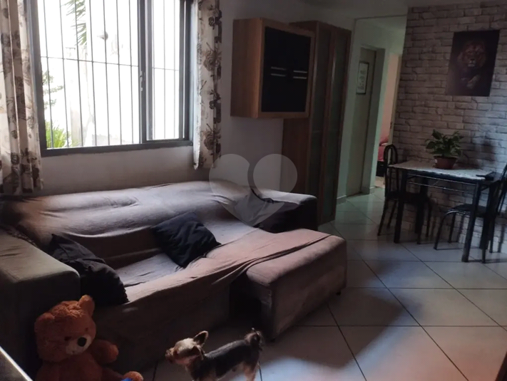 Foto REO1171685