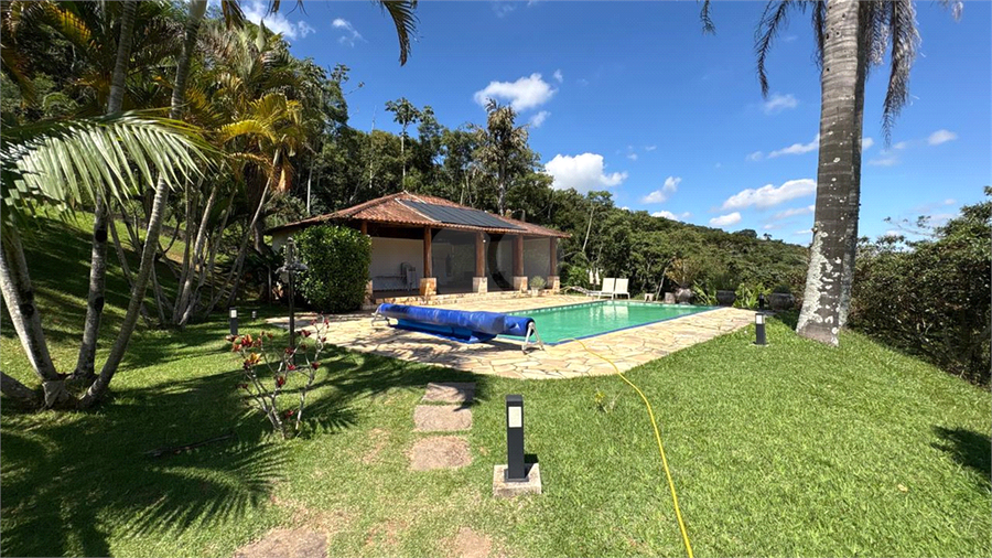 Foto REO1171905