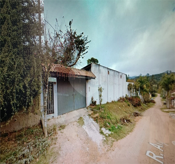 Foto REO1172518