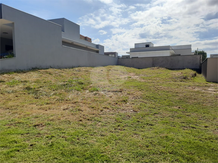 Foto REO1172619