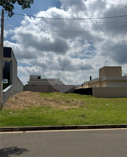 Foto REO1172619