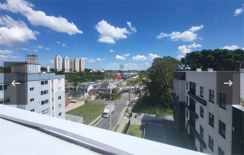 Foto REO1172715