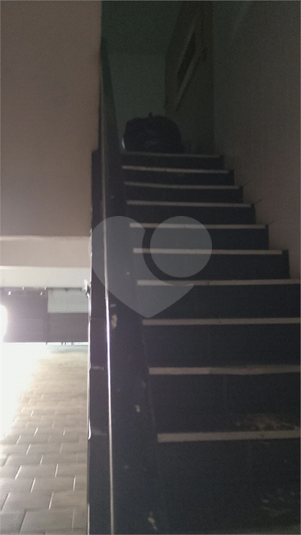 Foto REO1172830