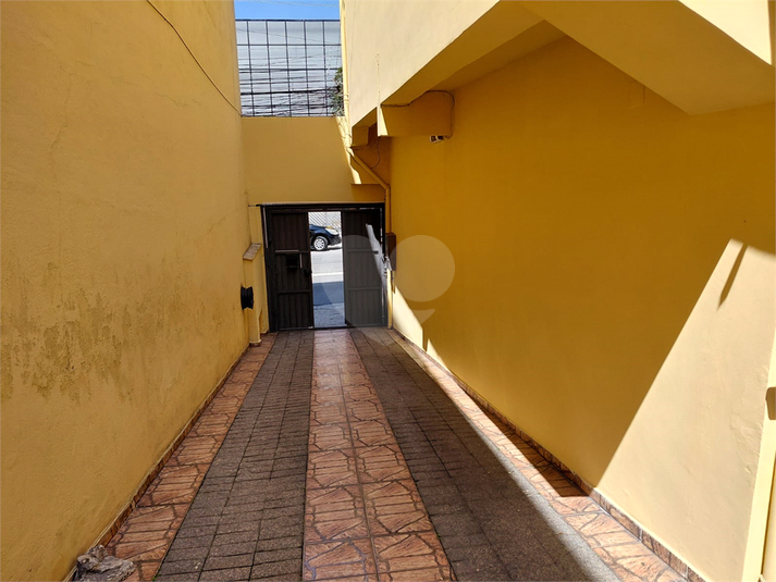 Foto REO1172940
