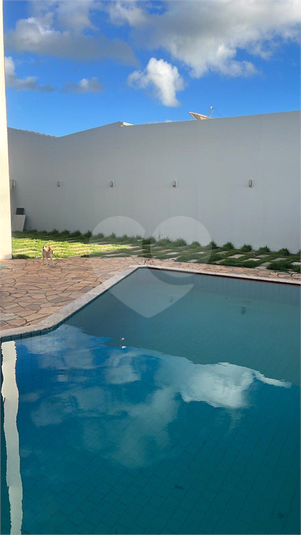 Foto REO1173137