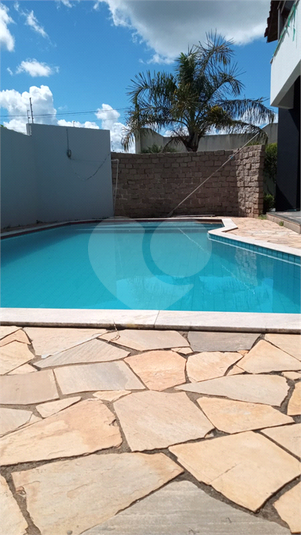 Foto REO1173137