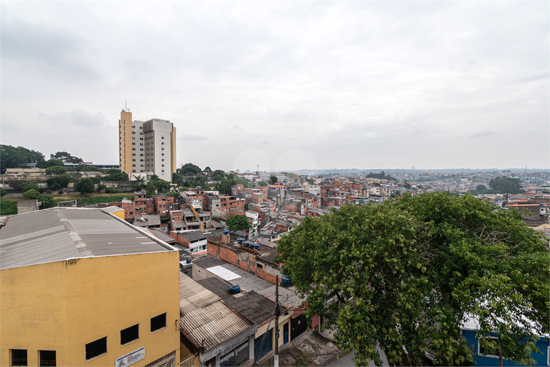 Foto REO1173205