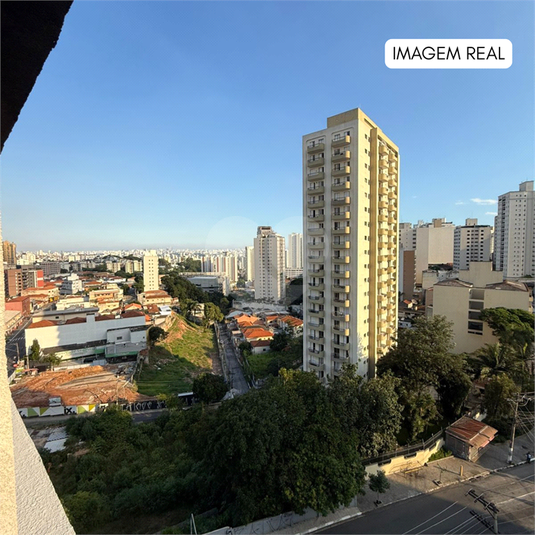 Foto REO1173321