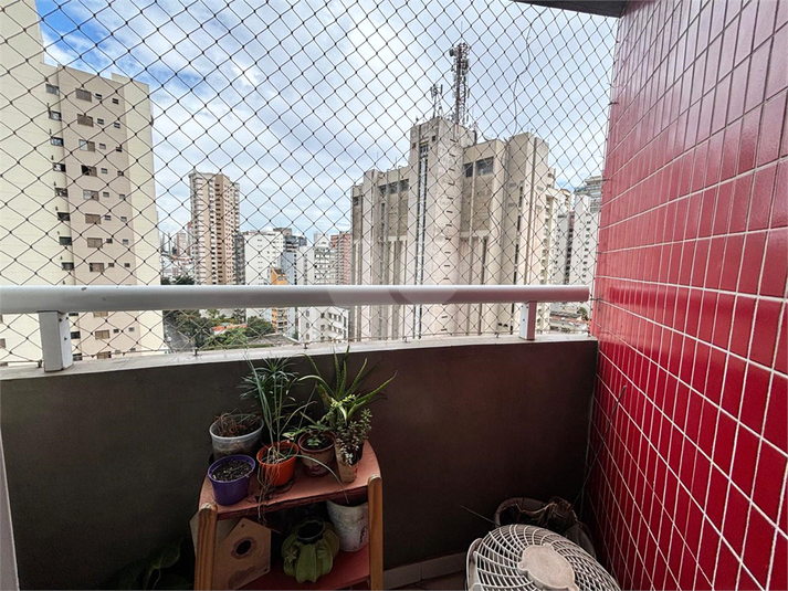 Foto REO1173670