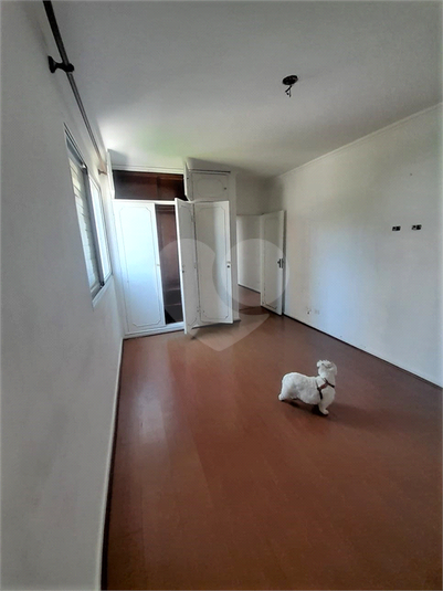 Foto REO1174085