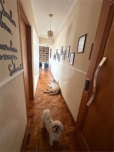 Foto REO1174255