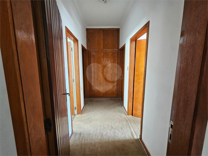 Foto REO1174335