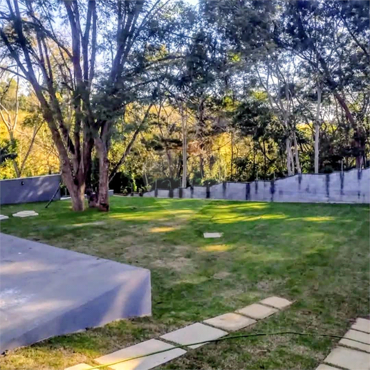 Foto REO1174646
