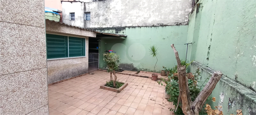 Foto REO1174731