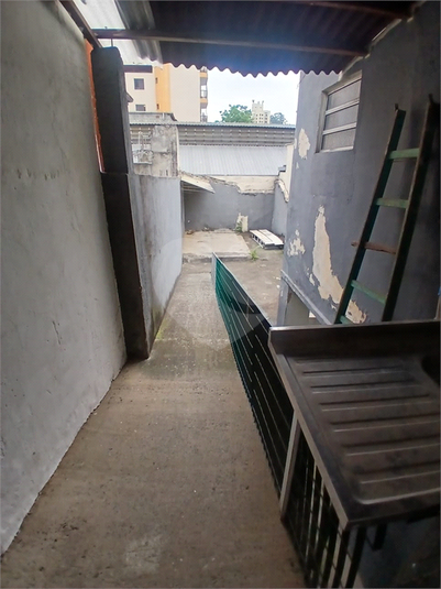 Foto REO1174777