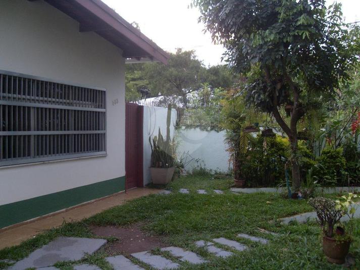 Foto REO117481