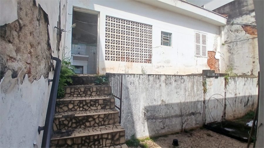 Foto REO1174946